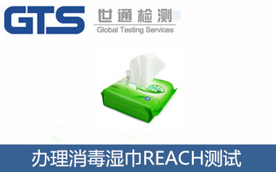 �k���������REACH�yԇ