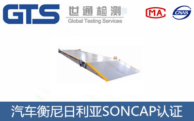 ��܇����������SONCAP�J�C