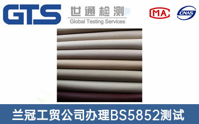 ɳ�l(f��)Ƥ��BS5852�y(c��)ԇ