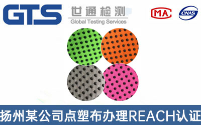 �c(di��n)�ܲ�REACH�J(r��n)�C