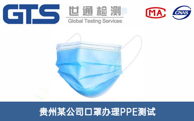 ����PPE�y(c��)ԇ