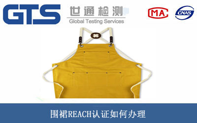 ��ȹREACH�J(r��n)�C