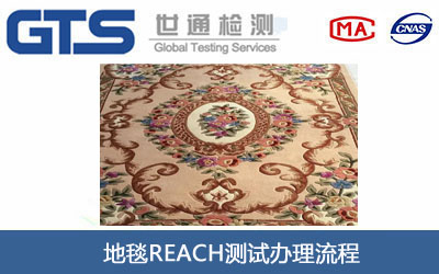 ��̺REACH�y(c��)ԇ